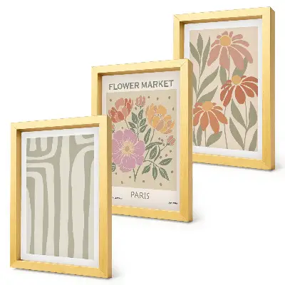 Conjunto de 3 quadros decorativos com motivos botânicos e estilo minimalista parisiense