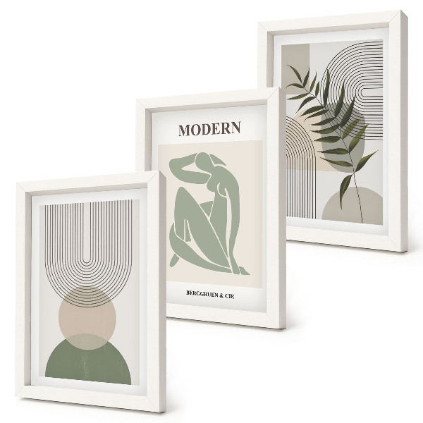 Conjunto de 3 quadros decorativos Gráficos estilosos com formas abstratas e plantas.