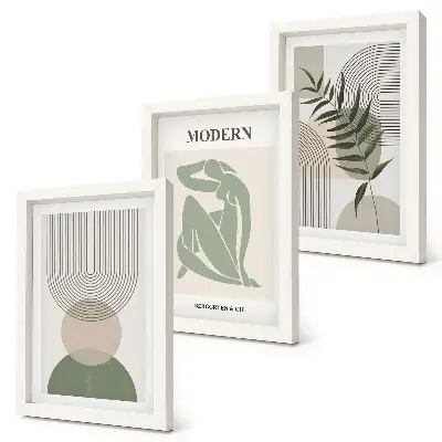 Conjunto de 3 quadros decorativos com gráficos de formas abstratas e plantas