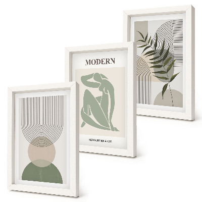 Conjunto de 3 quadros decorativos Gráficos estilosos com formas abstratas e plantas.