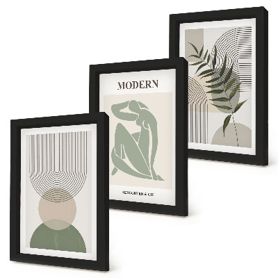 Conjunto de 3 quadros decorativos Gráficos estilosos com formas abstratas e plantas.