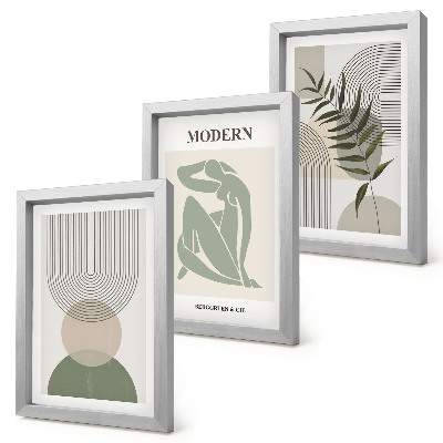 Conjunto de 3 quadros decorativos Gráficos estilosos com formas abstratas e plantas.