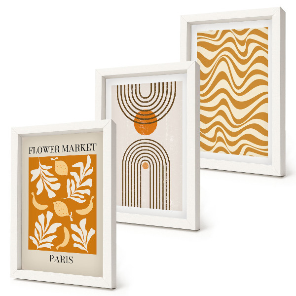 Conjunto de 3 quadros decorativos Pôsteres de moda com estampas florais e geométricas