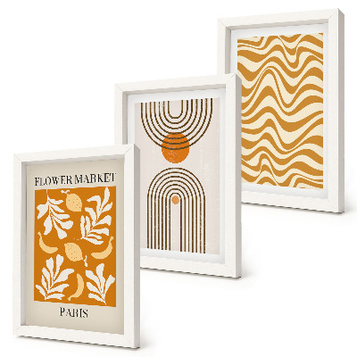 Conjunto de 3 quadros decorativos Pôsteres de moda com estampas florais e geométricas