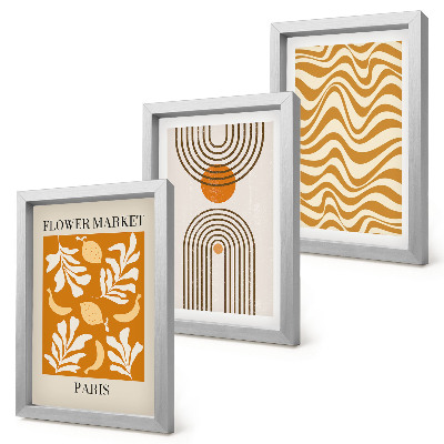 Conjunto de 3 quadros decorativos Pôsteres de moda com estampas florais e geométricas