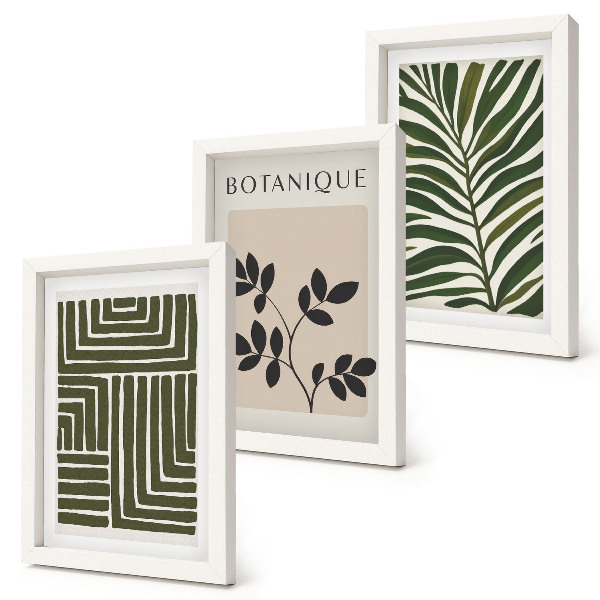 Conjunto de 3 quadros decorativos Composições botânicas no estilo do minimalismo boho