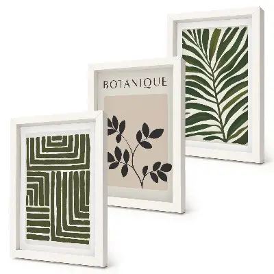 Conjunto de 3 quadros decorativos com composições botânicas no estilo minimalista boho