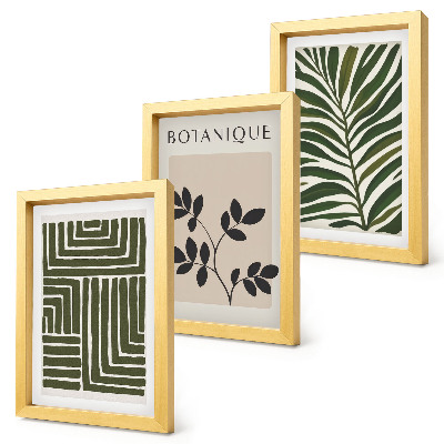 Conjunto de 3 quadros decorativos Composições botânicas no estilo do minimalismo boho