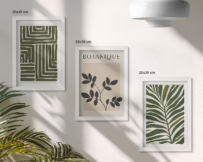 Conjunto de 3 quadros decorativos Composições botânicas no estilo do minimalismo boho