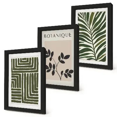 Conjunto de 3 quadros decorativos com composições botânicas no estilo minimalista boho