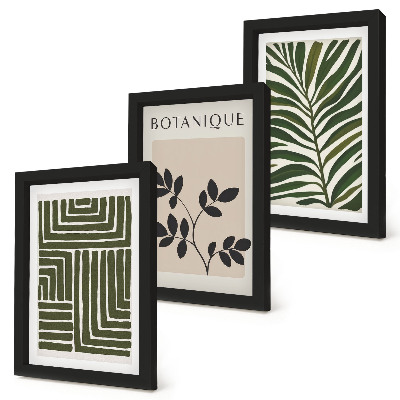 Conjunto de 3 quadros decorativos Composições botânicas no estilo do minimalismo boho