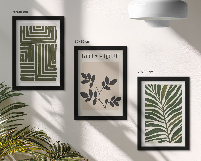 Conjunto de 3 quadros decorativos Composições botânicas no estilo do minimalismo boho