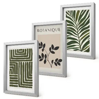Conjunto de 3 quadros decorativos com composições botânicas no estilo minimalista boho