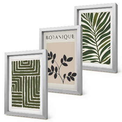 Conjunto de 3 quadros decorativos Composições botânicas no estilo do minimalismo boho