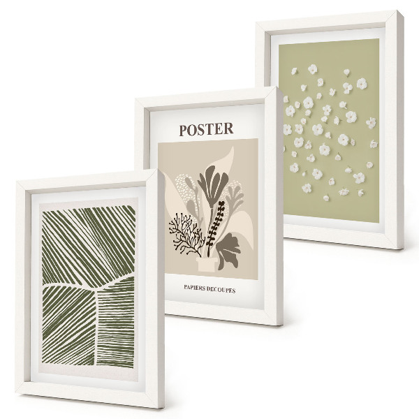 Conjunto de molduras com imagens Motivos vegetais em cores e padrões suaves.