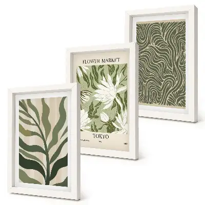 Conjunto de 3 quadros decorativos com estampas de plantas e estilo botânico boho