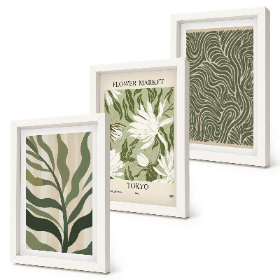 Conjunto de 3 quadros decorativos Estampas de plantas, decorações botânicas, estilo boho