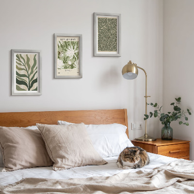 Conjunto de 3 quadros decorativos Estampas de plantas, decorações botânicas, estilo boho