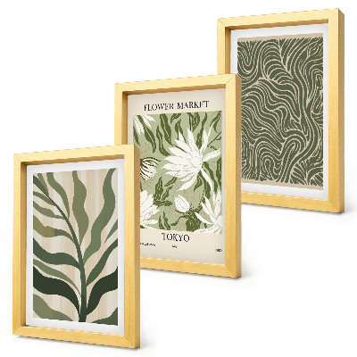 Conjunto de 3 quadros decorativos Estampas de plantas, decorações botânicas, estilo boho