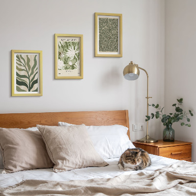 Conjunto de 3 quadros decorativos Estampas de plantas, decorações botânicas, estilo boho