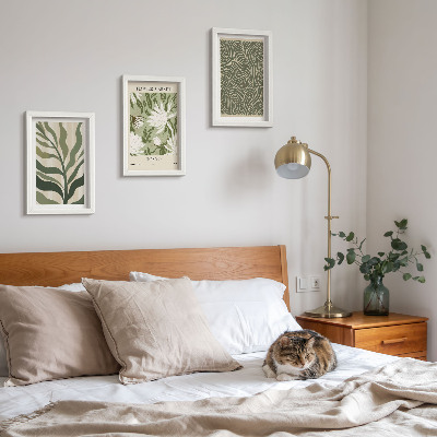Conjunto de 3 quadros decorativos Estampas de plantas, decorações botânicas, estilo boho