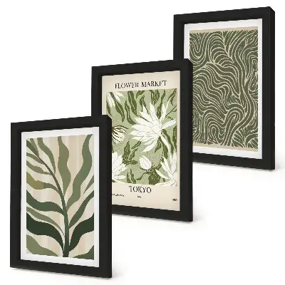 Conjunto de 3 quadros decorativos com estampas de plantas e estilo botânico boho