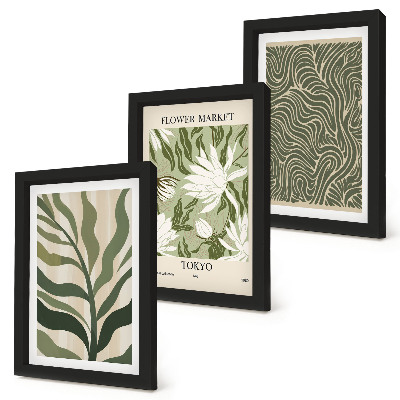 Conjunto de 3 quadros decorativos Estampas de plantas, decorações botânicas, estilo boho