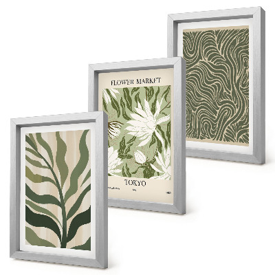 Conjunto de 3 quadros decorativos Estampas de plantas, decorações botânicas, estilo boho