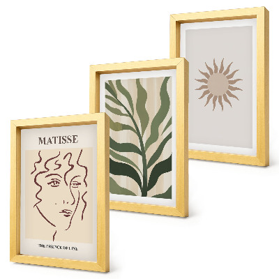 Conjunto de molduras com imagens Padrões e linhas abstratas de plantas em cores suaves.
