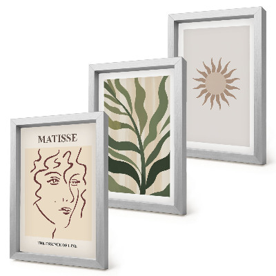 Conjunto de molduras com imagens Padrões e linhas abstratas de plantas em cores suaves.