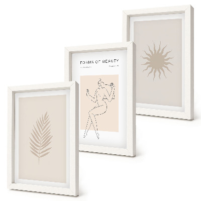 Conjunto de molduras com imagens Uma coleção de formas minimalistas e figuras naturais.