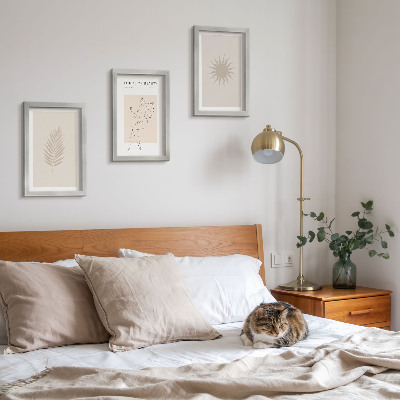 Conjunto de molduras com imagens Uma coleção de formas minimalistas e figuras naturais.