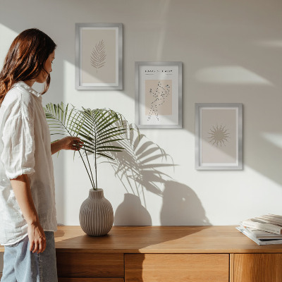 Conjunto de molduras com imagens Uma coleção de formas minimalistas e figuras naturais.