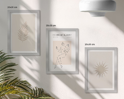 Conjunto de molduras com imagens Uma coleção de formas minimalistas e figuras naturais.