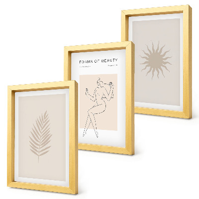 Conjunto de molduras com imagens Uma coleção de formas minimalistas e figuras naturais.