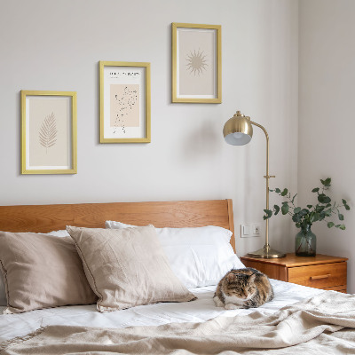Conjunto de molduras com imagens Uma coleção de formas minimalistas e figuras naturais.