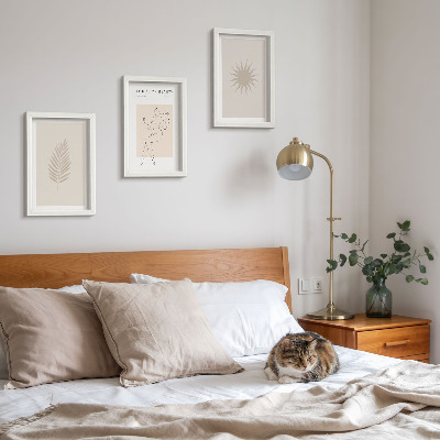 Conjunto de molduras com imagens Uma coleção de formas minimalistas e figuras naturais.