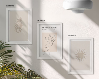 Conjunto de molduras com imagens Uma coleção de formas minimalistas e figuras naturais.