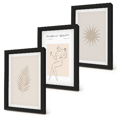 Conjunto de molduras com imagens Uma coleção de formas minimalistas e figuras naturais.