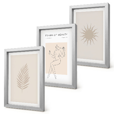 Conjunto de molduras com imagens Uma coleção de formas minimalistas e figuras naturais.