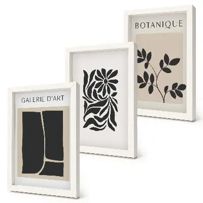 Conjunto de quadros com imagens com padrões abstratos de plantas e formas geométricas