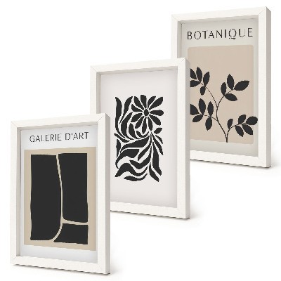 Conjunto de molduras com imagens Padrões abstratos de plantas e formas geométricas