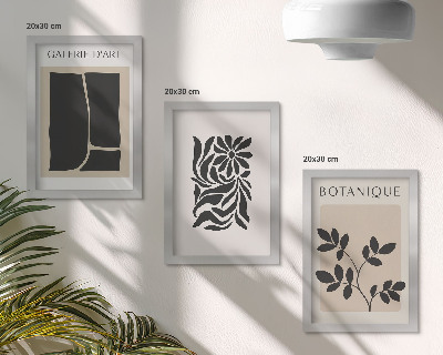 Conjunto de molduras com imagens Padrões abstratos de plantas e formas geométricas