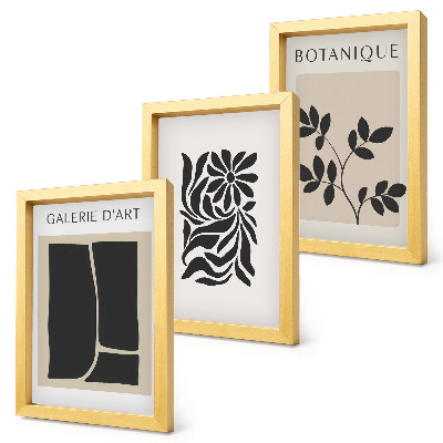 Conjunto de molduras com imagens Padrões abstratos de plantas e formas geométricas