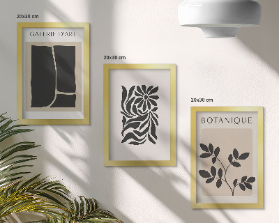 Conjunto de molduras com imagens Padrões abstratos de plantas e formas geométricas