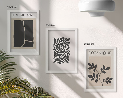 Conjunto de molduras com imagens Padrões abstratos de plantas e formas geométricas