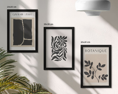 Conjunto de molduras com imagens Padrões abstratos de plantas e formas geométricas