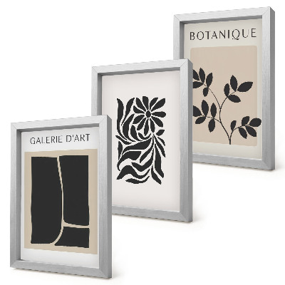 Conjunto de molduras com imagens Padrões abstratos de plantas e formas geométricas