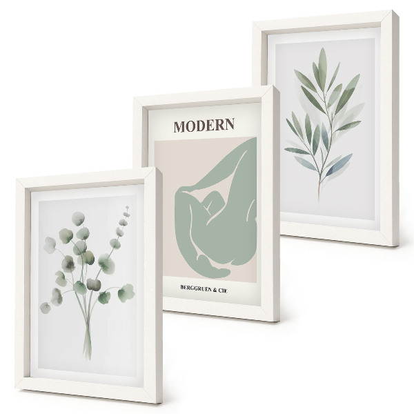 Conjunto de molduras com imagens Motivos vegetais em delicados tons de verde.