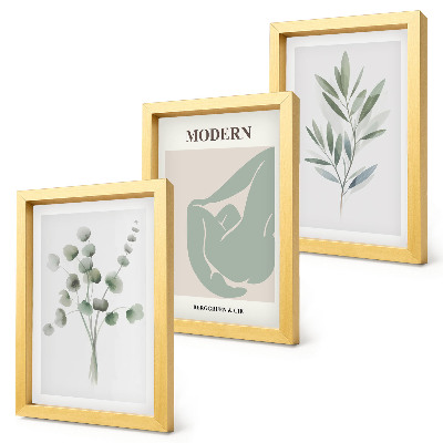 Conjunto de molduras com imagens Motivos vegetais em delicados tons de verde.